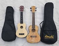 Full lot view: both ukuleles side by side with respective gig bags