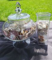 Both glass containers filled with seashells displayed together
