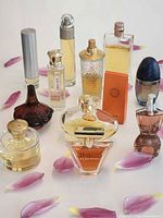 Group shot of all 12 perfume bottles on white background with petals