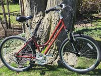 Left side view of entire red Raleigh Venture 2 bicycle leaning against tree