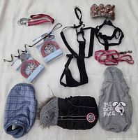 Full layout showing all accessories: tie-out cables, anchor, leashes, harnesses, shoes, and three clothing items
