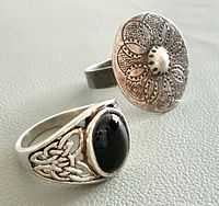 Both rings side by side showing overall design