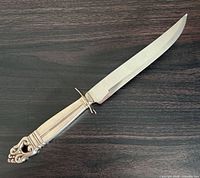 Full view of knife showing blade and handle