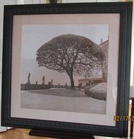 Full view of framed photograph showing image, mat and frame