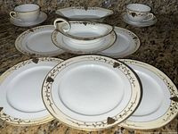 Full set showing plates, cups, saucers, serving pieces