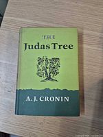 Front cover of The Judas Tree showing title and author