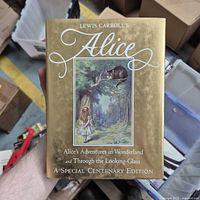 Front of book showing title, author and cover art