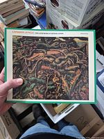 Front cover showing title and artwork