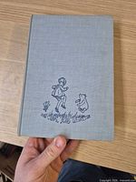 Front cover showing cloth binding and cover illustration