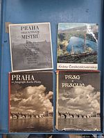 All four hardcover photography books front covers visible