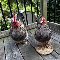 Both rooster figurines on deck showing overall appearance and size difference