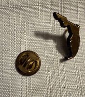 Front view of Florida outline lapel pin and separate clutch back