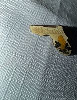 Front view of Florida-shaped pin showing text and graphics