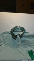 Front view of mint green Calvin Klein polo with collar and buttons visible