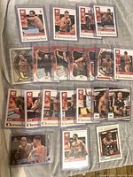 Overview of all 20 sleeved and toploaded 2022 Chronicles UFC cards