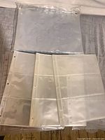 Stack of clear 9-pocket pages visible with three-hole punches