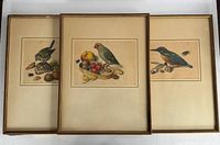 All three framed prints side by side