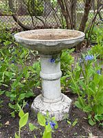 full view of concrete bird bath situated in garden showing bowl, pedestal and base