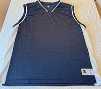 Front view of navy Champion jersey size L