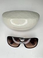 Sunglasses and hard case overall view