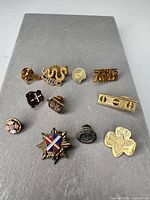 All 11 pins displayed on grey board