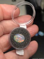 Front view of opal in display case showing multicolour play-of-colour