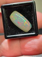 Rectangular cabochon opal showing multicolor play-of-color in display box