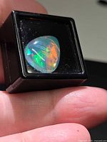 Freeform crystal jelly opal cabochon in gem display box, showing intense green and orange play-of-colour