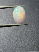 Oval opal cabochon held in tweezers showing multicolored flash
