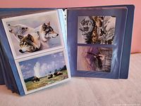Open binder showing postcard prints of wolves, bears and eagles