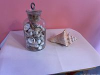 Glass jar filled with shells beside standalone conch shell