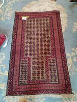 Full overhead view of entire rug showing design and fringe