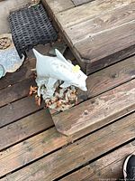 Front angled view of dolphin statue on deck