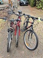 Front view of all three bicycles lined up