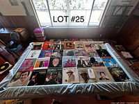 Overview of all vinyl records laid out on table (24 sleeves visible)