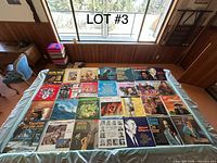 Top view of 25 vinyl LPs laid out showing front covers