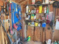 Overall shed view with long-handled tools, pegboard, shelves of chemicals