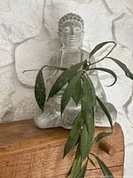 Front view of Buddha planter with trailing Hoya