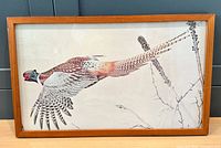 Full view of framed Glen Loates pheasant print