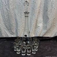 Full view of decanter with stopper surrounded by ten shot glasses