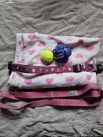 Leash, collar, blanket, tennis ball, rope ball displayed on folded blanket