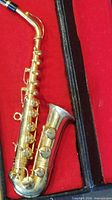 Miniature saxophone in red-lined case, full view