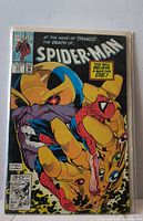 Front cover of Spider-Man #17 comic in protective sleeve