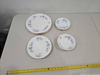 Four sizes of plates laid out next to tape measure