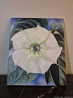 Front of dust jacket featuring white flower artwork