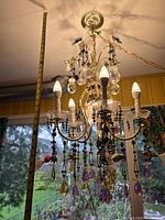 Full view of chandelier hanging from ceiling showing bulbs, prisms, birds and chain