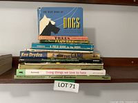 Stack of seven books showing titles and spines