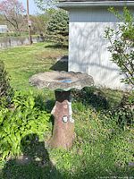 Full view of bird bath showing scalloped basin and tree stump base
