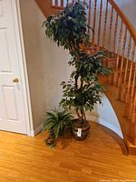 Full view of artificial ficus tree, fern, and bronze planter on floor