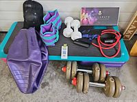 Group shot showing step platform, dumbbells, weights, resistance tube, exercise ball, Zumba kit and pad bag